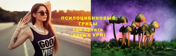 хмурый Алексин
