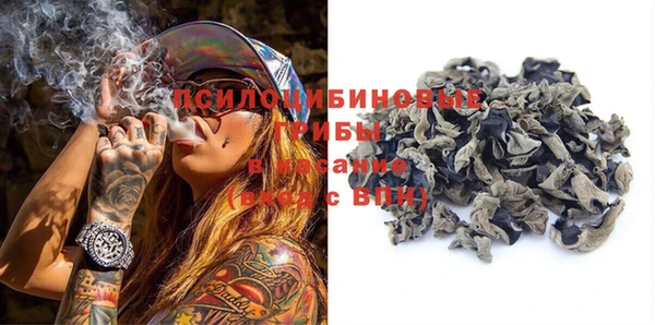хмурый Алексин