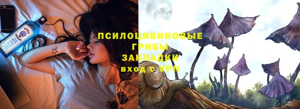 хмурый Алексин