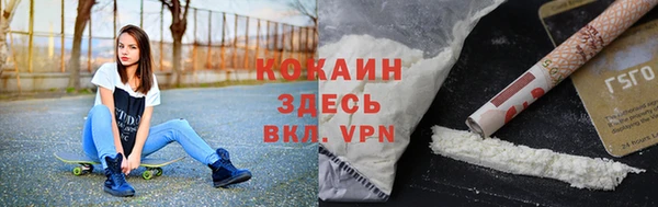 хмурый Алексин