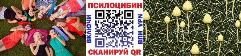 Галлюциногенные грибы GOLDEN TEACHER  где продают   Оханск 